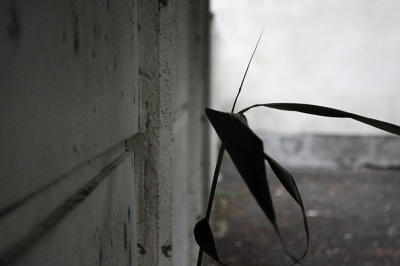 &quot;Au pied des murs&quot;, dispositif départemental Lez&#039;arts ô collège - Sancergues - 2018